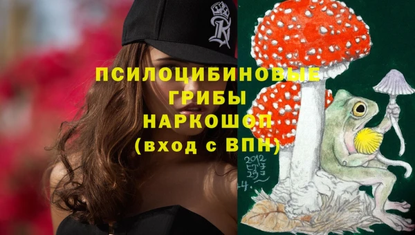 мяу мяу мука Абинск