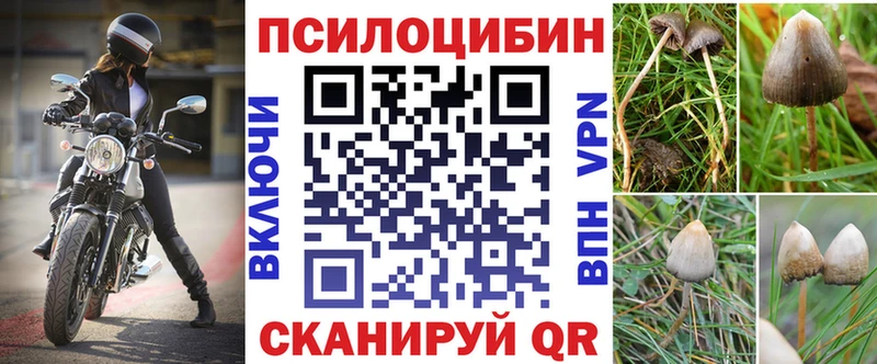 закладки  Анапа  мега вход  Галлюциногенные грибы мицелий 